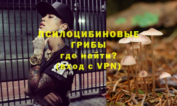 дмт Алексеевка