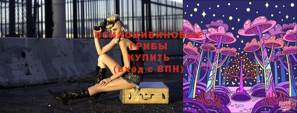 шишки Абинск