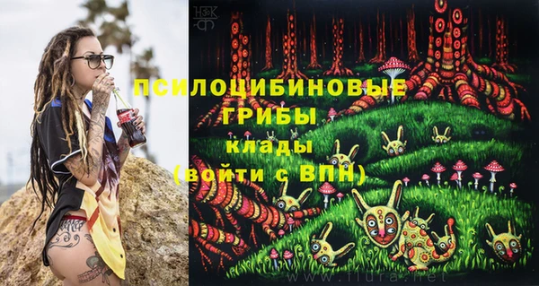 шишки Абинск