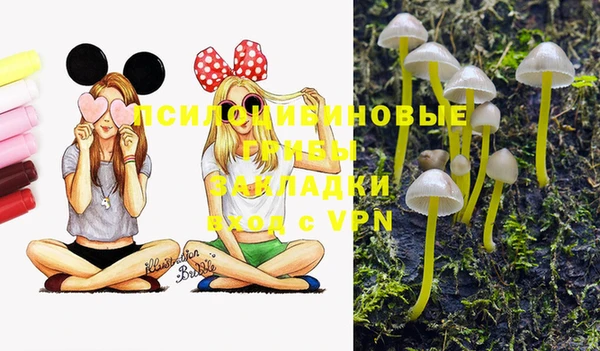 шишки Абинск