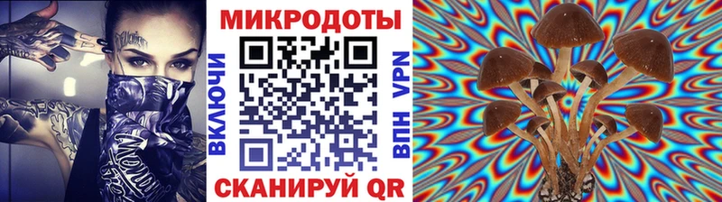 закладки  Фокино  Псилоцибиновые грибы мицелий 